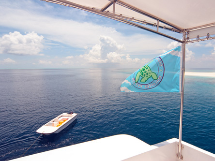 Liveboard Adventure 2